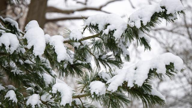Winterwetter: Wochenmarkt in Wismar wegen Schnee und Eis abgesagt