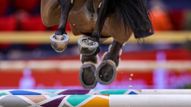 Pferdesport: In Neustadt (Dosse) findet ein Reitturnier statt. (Symbolbild)