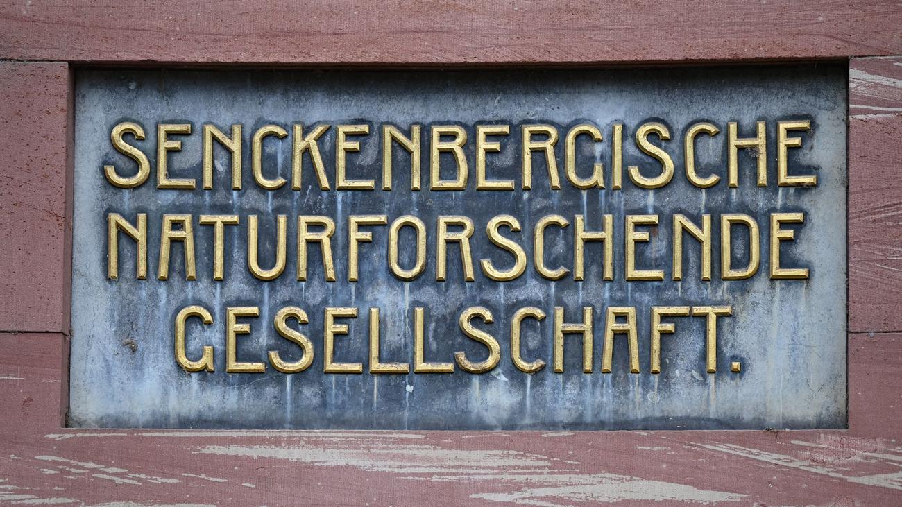 Umweltschutz: Internationaler Knotenpunkt für Naturschutz