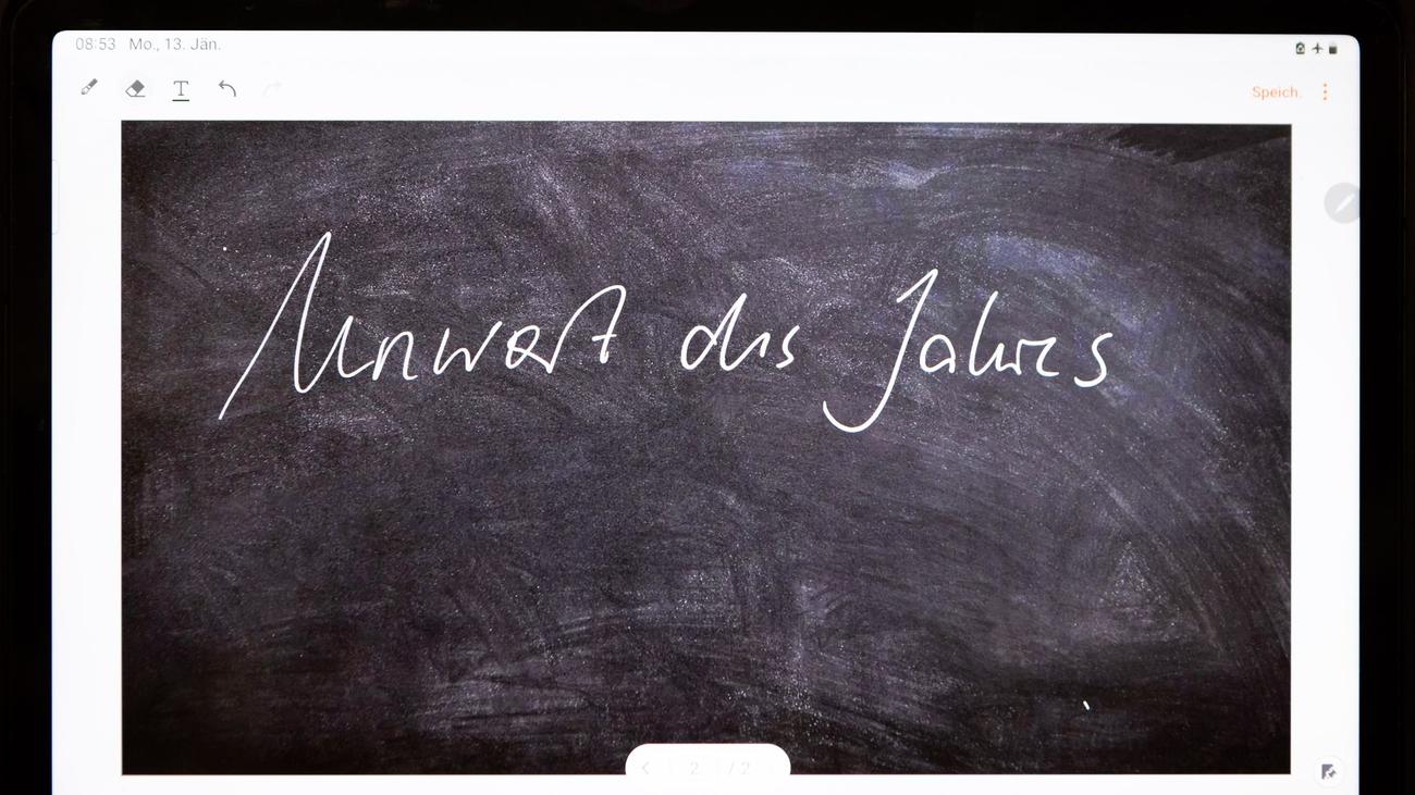 Sprache: Mehr als 2.600 Einsendungen für Kür zum "Unwort des Jahres"