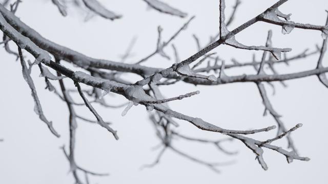 Tiefstwerte: Minus 12 Grad in Coschen: Bundesweit niedrigste Messung
