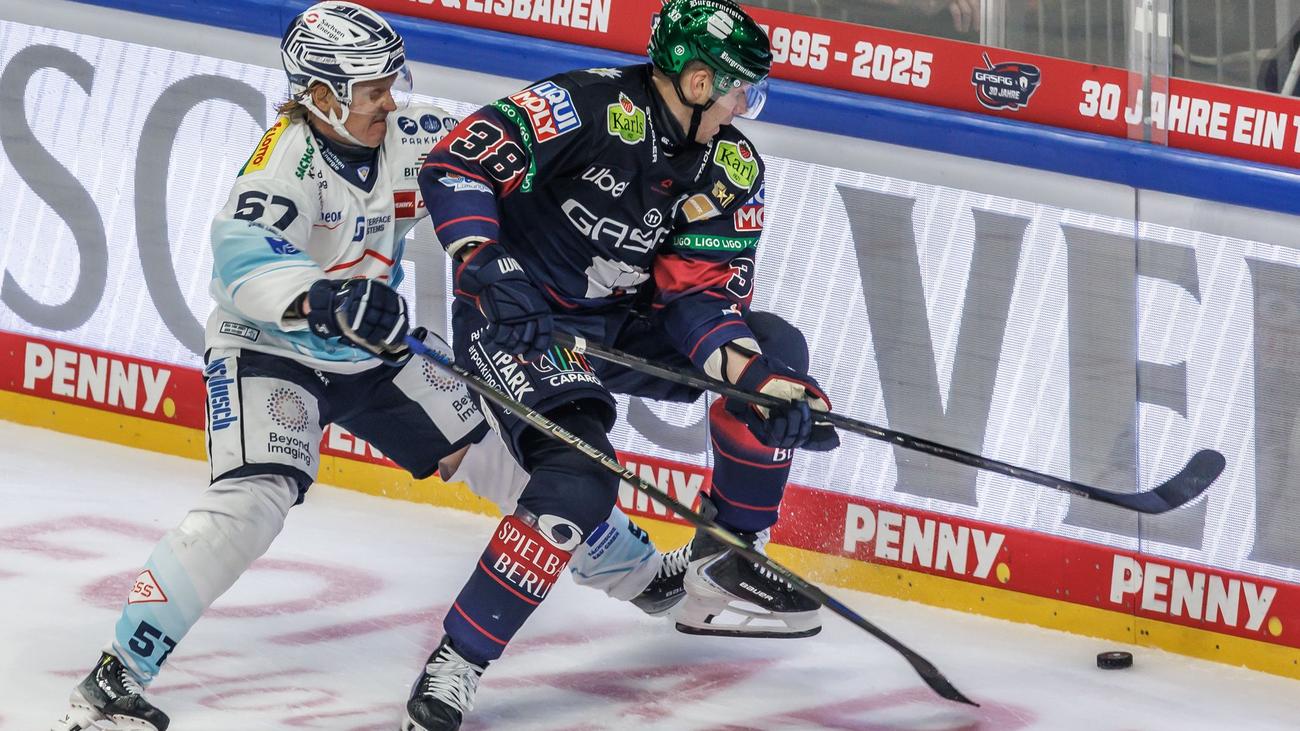 Deutsche Eishockey Liga: Viel Vorfreude vor Freiluft-Ostduell Eislöwen gegen Eisbären