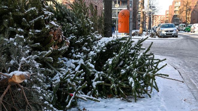 Berlin: Manche Bäume liegen schon ausrangiert am Straßenrand.