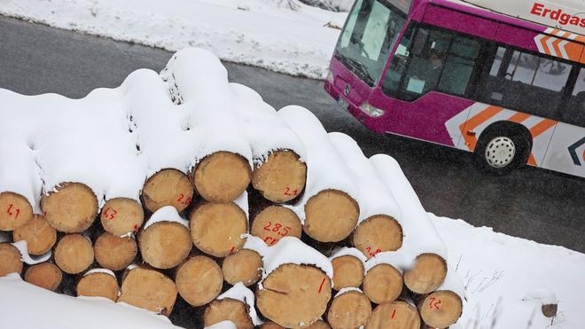Sturmtief "Elli": Wegen des Neuschnees ist der Busverkehr im Harz und Südharz weiterhin gestört. (Archivbild)