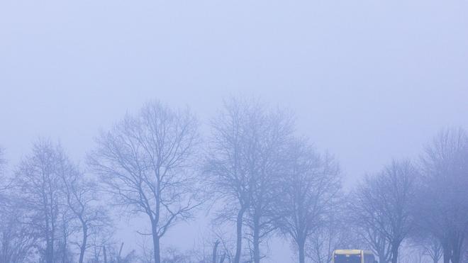 Landkreis Ludwigslust-Parchim: Die Busse sollen am Montag wieder normal fahren. (Archivbild)