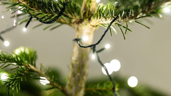 Verbrennungen: Von einer Kerze griffen die Flammen auf den Christbaum über. (Symbolbild)