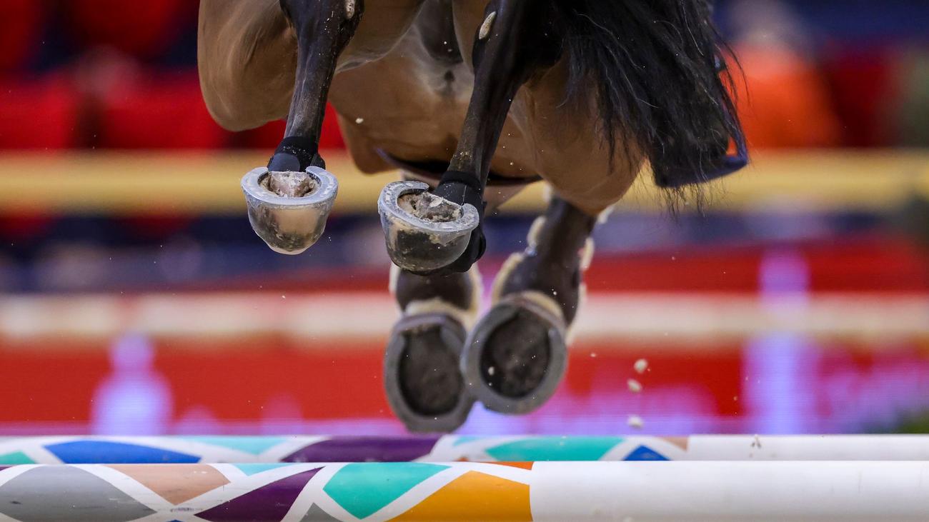 Pferdesport: Schewe gewinnt Großen Preis in Neustadt-Dosse