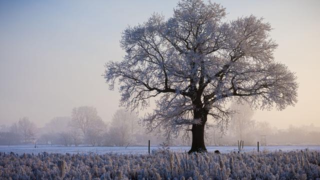 Bilanz vom Winterwochenende: Kaltes Wochenende im Nordwesten - bis zu Minus 18,9 Grad