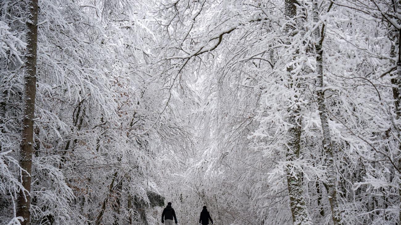 Eis und Schule: Schulbusse fahren nur eingeschränkt