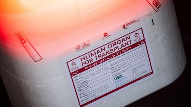 Medizin: Mehr Menschen in Schleswig-Holstein spenden ihre Organe