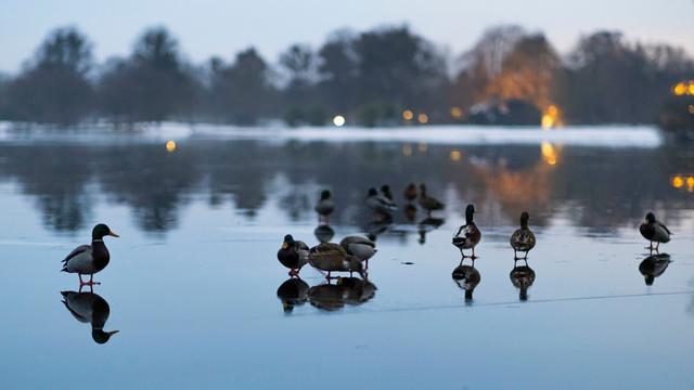Nach dem Wintersturm: Schneeberge beginnen zu tauen – droht nun Hochwasser?