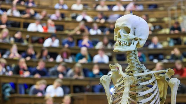 Medizinstudium: 40 Studienplätze für künftige Landärzte in Sachsen