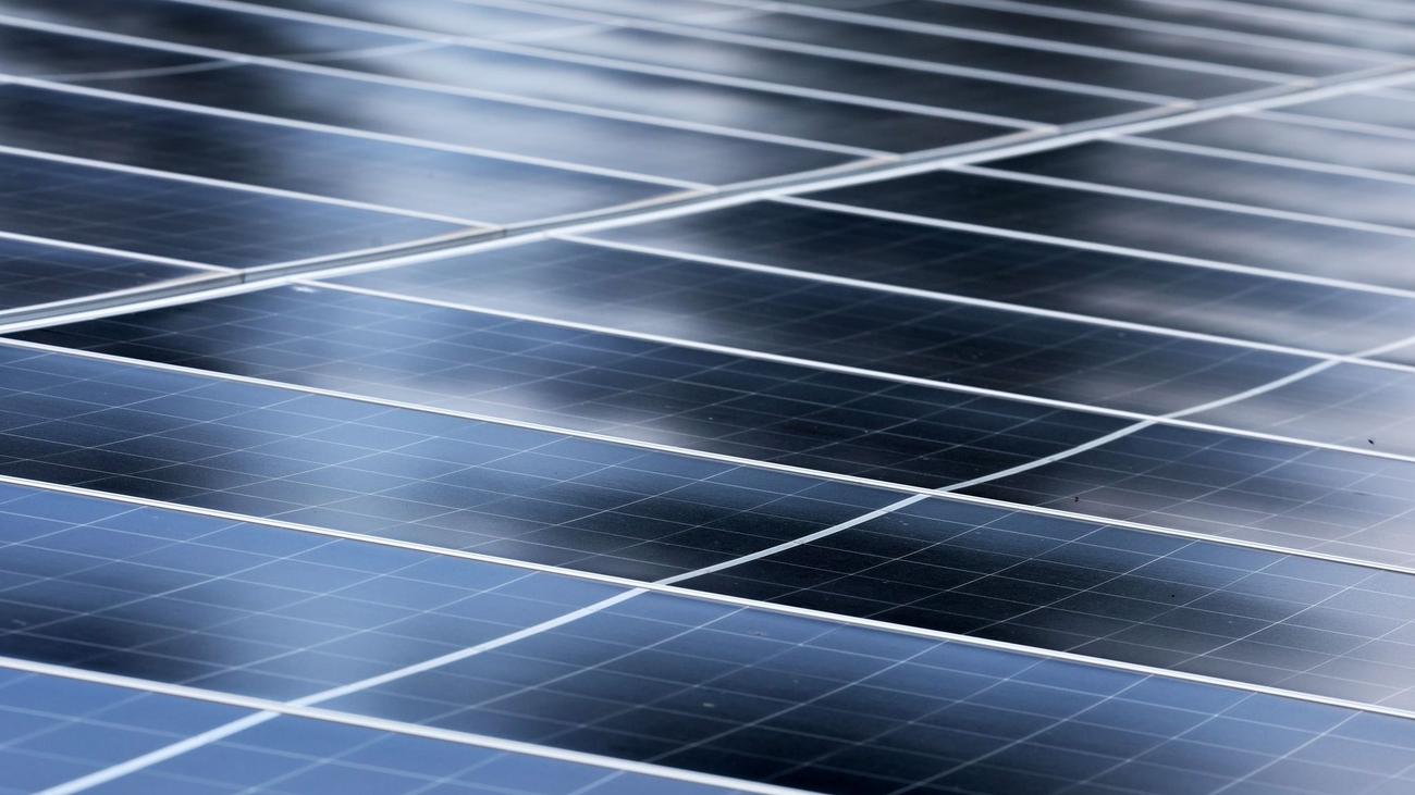 Vorstoß zu bundesweitem Verbot: Bericht: Sachsen-CDU will Solaranlagen im Wald verbieten