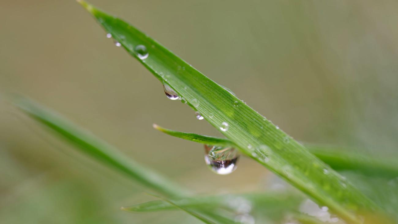 Wetterbericht: Regen im Norden, Sonne im Süden - Wetter bleibt launisch