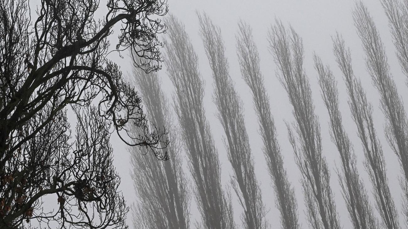 Wetter: Nebel und stellenweise noch Glätte in Berlin und Brandenburg