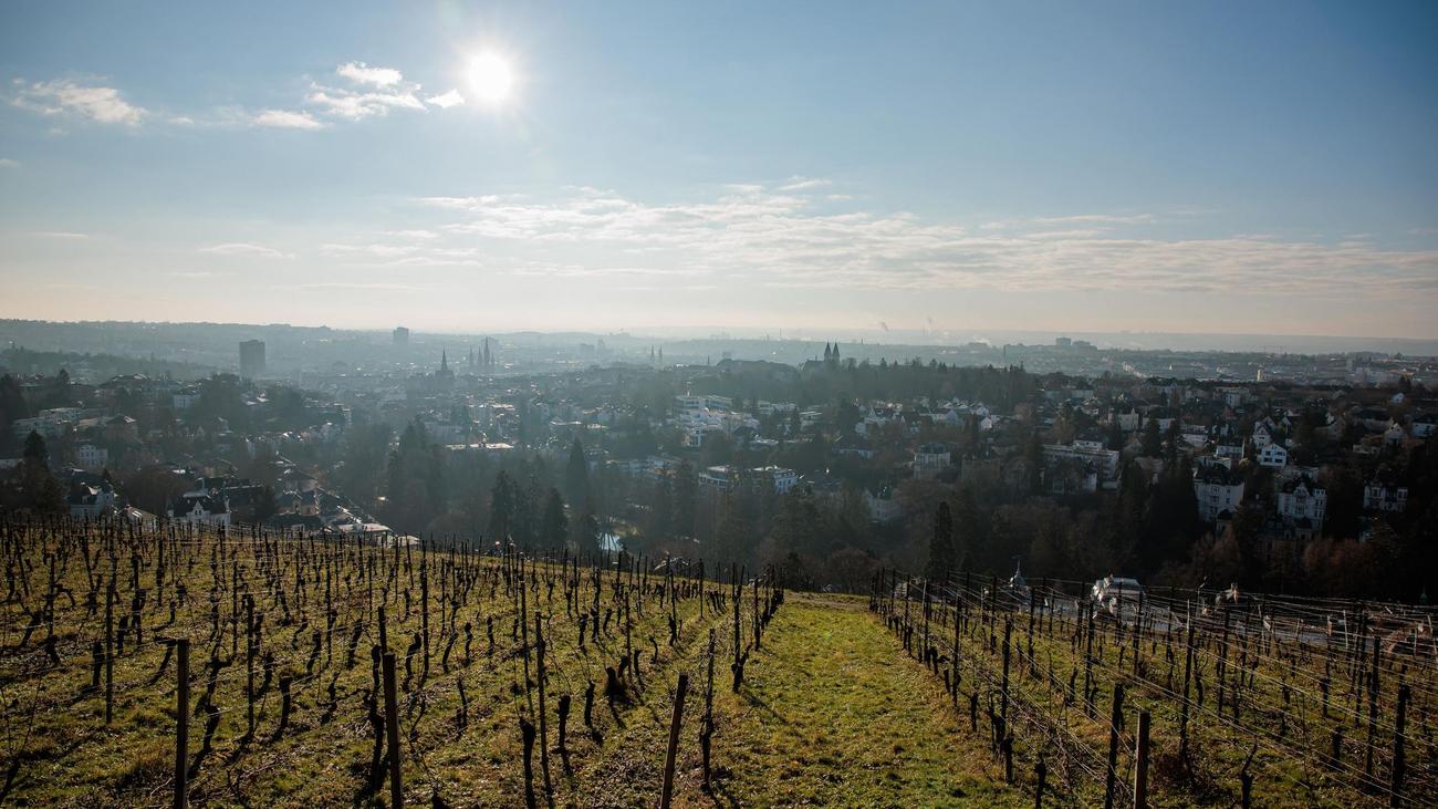 Wetter: Mildes Wetter in Hessen – kaum Regen oder Schnee erwartet