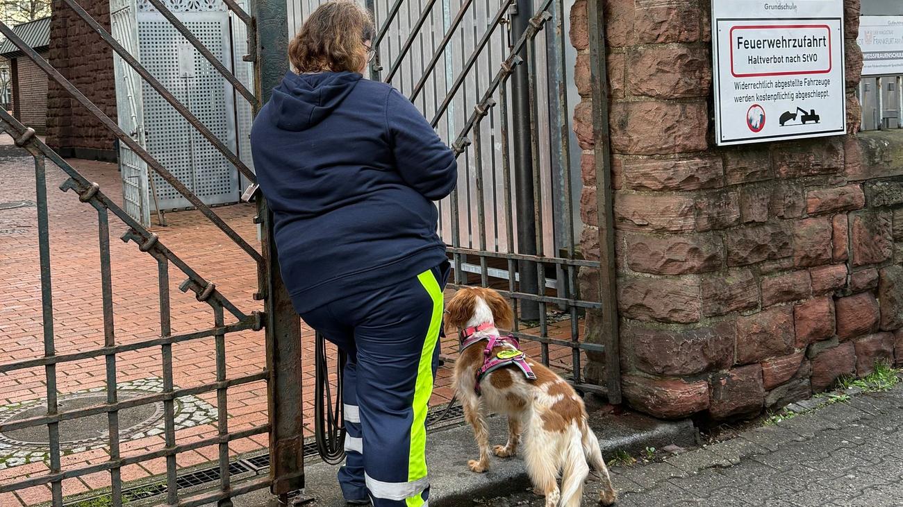 Notfälle: Vermisster Achtjähriger aus Frankfurt wohlbehalten gefunden