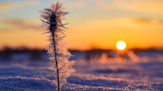Wetter: Frostiger Sonntag mit viel Sonne in Berlin und Brandenburg