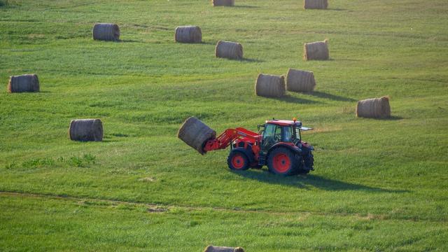 Grüne Woche: Ost-Agrarminister wenden sich gegen EU-Kürzungen für Bauern