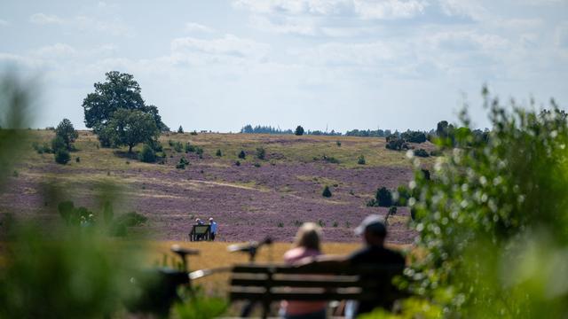 Umfrage: Schön, aber langweilig: Das ist Niedersachsens Image