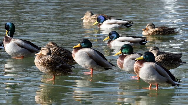 Sonne und Frost: Sonniger Wochenstart in NRW – nachts wird es frostig