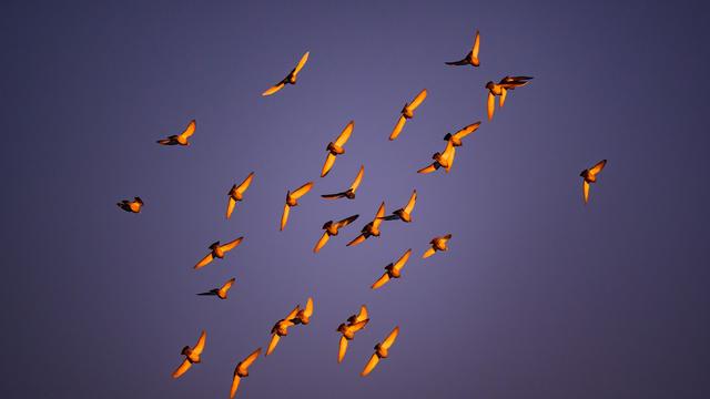 Wetter: Frost am Morgen und tagsüber viel Sonne