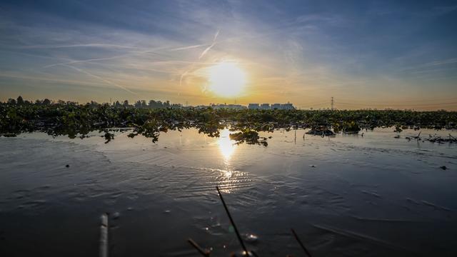 Wetter: Sonnige Tage und kalte Nächte in Nordrhein-Westfalen