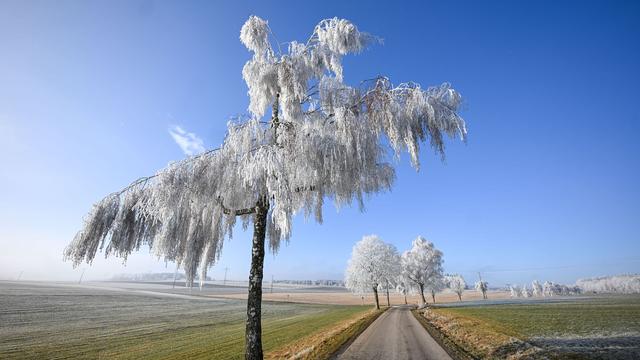 Wetter im Baden-Württemberg: Teils neblig, teils sonnig - Ruhiges Winterwetter im Land