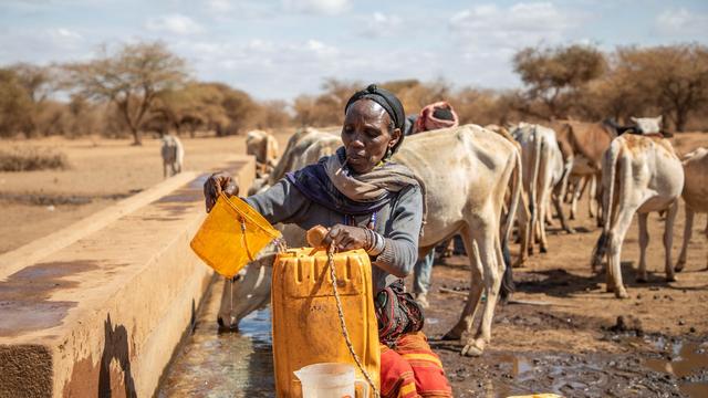 Übernutzte Wasserreserven: UN-Bericht: 