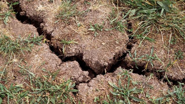 Klima: Deutlich zu trocken - nur wenig neues Grundwasser