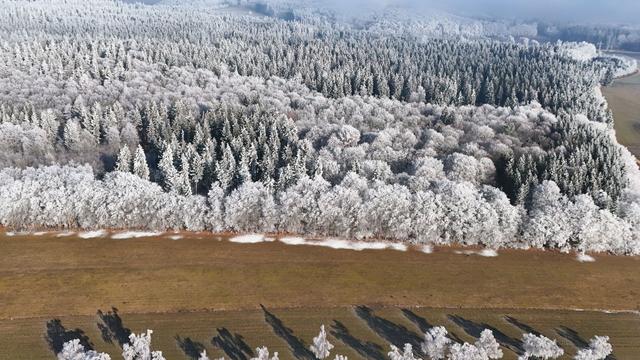 Wetter im Südwesten: Zwischen Nebel und Sonne – Winterwetter bleibt wechselhaft