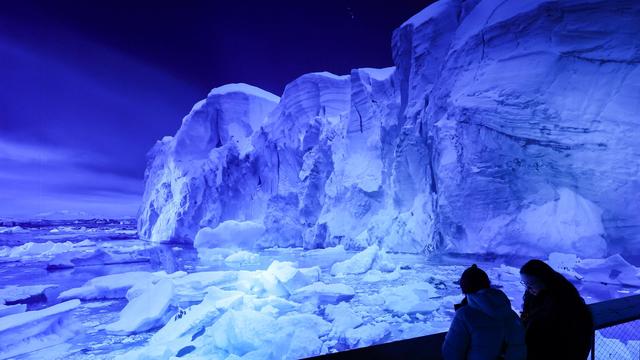360 Grad Antarktis: Antarktis-Panorama in Leipzig - eisig und faszinierend