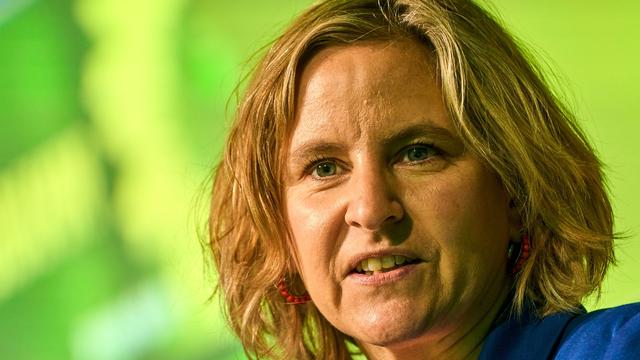 Welthandel: Grüne Kritik an grünem Abstimmungsverhalten auf EU-Ebene