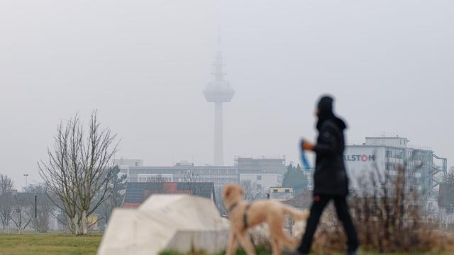 Wetterbericht: Kurz sonnig, dann grau - Wolken ziehen im Südwesten auf
