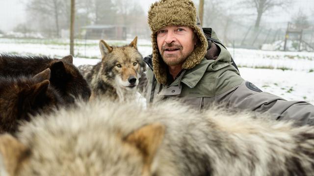 Tiere im Film: Wie aus einem Wolf ein Schauspieler wird