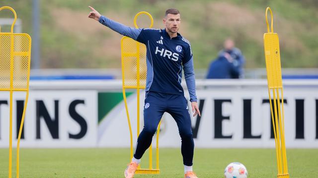 2. Fußball-Bundesliga: Hype auf Schalke: 1.200 Fans besuchen erstes Dzeko-Training