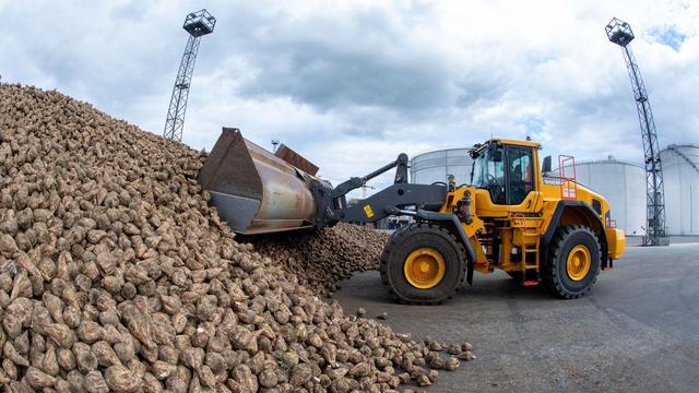 Zuckerrüben: Rund 1,8 Millionen Tonnen Zuckerrüben in Anklam verarbeitet