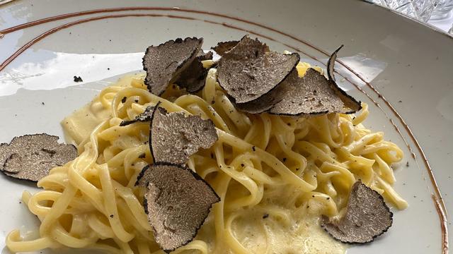 Süßes und Salziges: Trüffel-Festival in Berlin – Wissenswertes über den Edelpilz