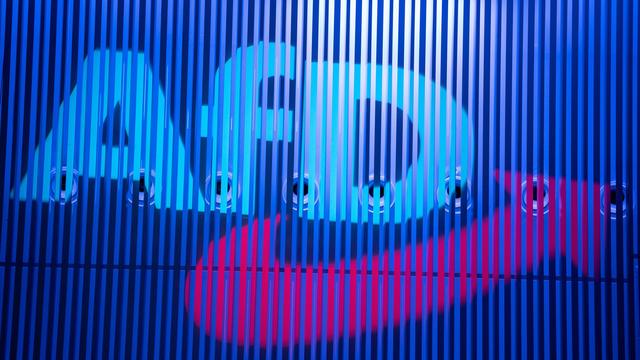 Wahlen: AfD plakatiert zu früh – Stadt hängt Wahlplakate wieder ab