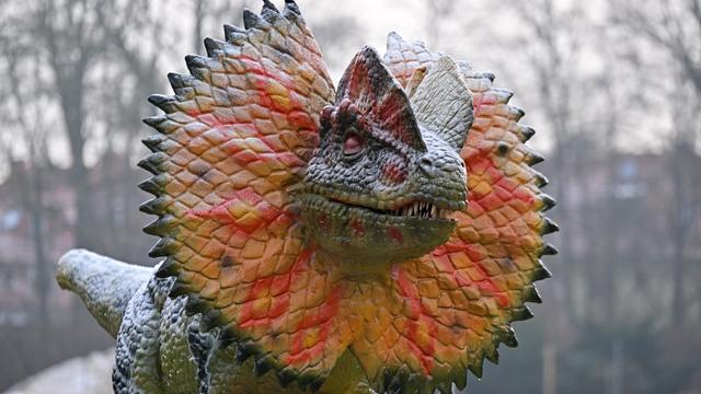 Dinosaurier: Illuminierte Urzeitechsen in Erfurt zu sehen