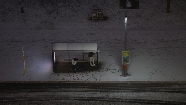 Busse fahren nicht: Glättewarnung: Kein Nahverkehr am Montag im Kreis Wittenberg