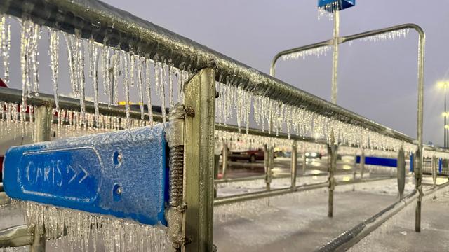 Fotografie: Bilder der Woche