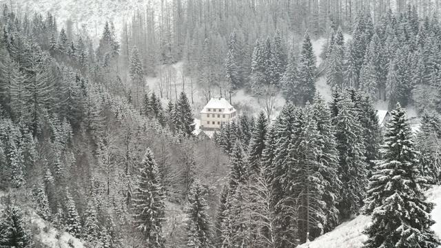 Wetter: Schnee und glatte Straßen: Mindestens neun Schulen zu