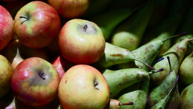 Soziales: Tafel sammelt sechs Tonnen Lebensmittel auf Grüner Woche