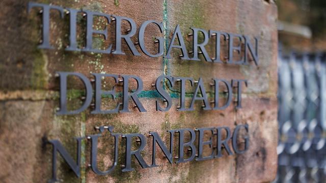 Winterwetter: Tiergarten Nürnberg und Zoo Augsburg wegen Schnees zu