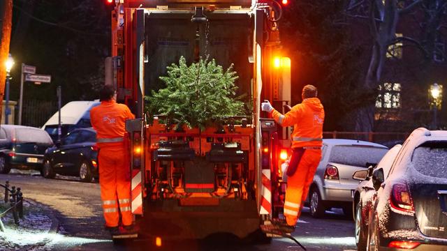 Berliner Stadtreinigung: Weihnachtsbaum vergessen, und nun? BSR bittet um Hinweise