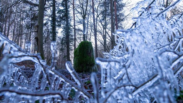 Unwetter: Wildpark in Güstrow und Tierpark Wolgast auch geschlossen