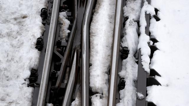 Mittelfranken: Bäume auf Gleisen – Zugstrecken um Nürnberg gesperrt