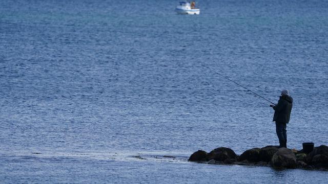 Digitalisierung für Angler: Fischereischein jetzt digital – Smartphone reicht