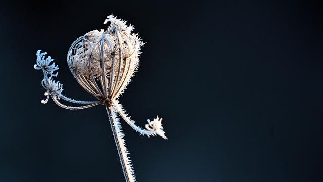 Winterwetter: Frostige Nächte mit glatten Straßen in NRW